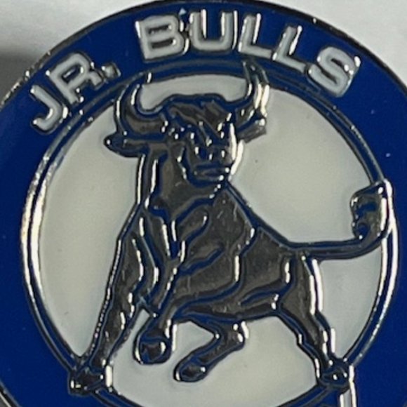 Jr. Bulls Youth Hockey Tampa, Florida Lapel Hat Pin 1" Circular - Picture 4 of 6